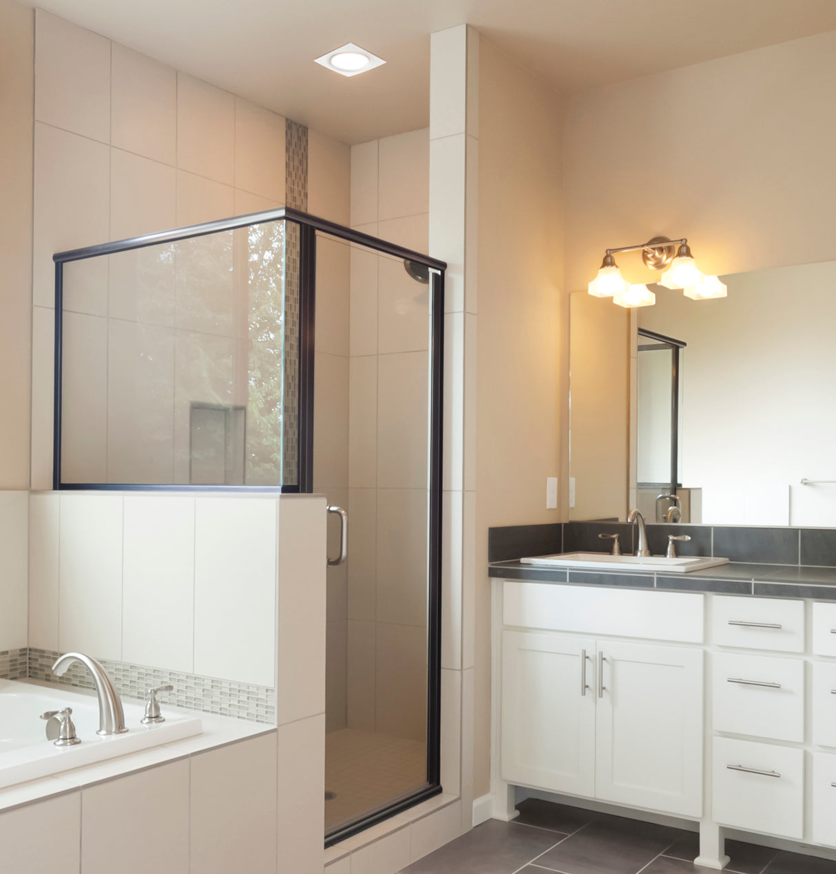 AeroPure  AP100 100 CFM Low Profile Fan in a Can - Recessed Light